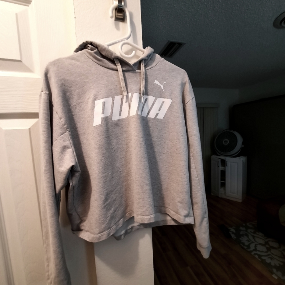 Puma Gray Sweatshirt w/hood